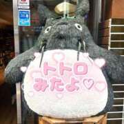 ヒメ日記 2026/03/01 10:57 投稿 きい 白いぽっちゃりさん仙台店