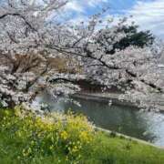 ヒメ日記 2026/03/23 15:05 投稿 めい 妖精（ようせい）