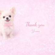 ヒメ日記 2026/03/04 22:18 投稿 桜井ゆめ 五十路マダム　和歌山店