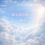 ヒメ日記 2026/03/10 08:42 投稿 桜井ゆめ 五十路マダム　和歌山店