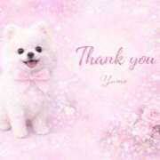 ヒメ日記 2026/03/12 22:02 投稿 桜井ゆめ 五十路マダム　和歌山店