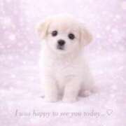 ヒメ日記 2026/03/16 21:26 投稿 桜井ゆめ 五十路マダム　和歌山店