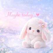 ヒメ日記 2026/03/17 09:20 投稿 桜井ゆめ 五十路マダム　和歌山店