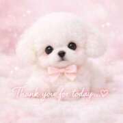 ヒメ日記 2026/03/19 21:38 投稿 桜井ゆめ 五十路マダム　和歌山店