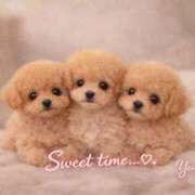 ヒメ日記 2026/03/19 21:56 投稿 桜井ゆめ 五十路マダム　和歌山店