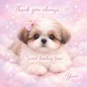 ヒメ日記 2026/03/25 12:44 投稿 桜井ゆめ 五十路マダム　和歌山店