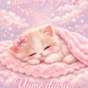 ヒメ日記 2026/03/27 07:54 投稿 桜井ゆめ 五十路マダム　和歌山店