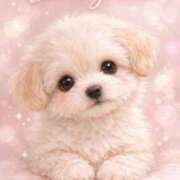 ヒメ日記 2026/03/27 15:50 投稿 桜井ゆめ 五十路マダム　和歌山店