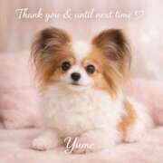 ヒメ日記 2026/04/01 17:02 投稿 桜井ゆめ 五十路マダム　和歌山店