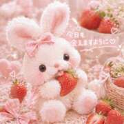 ヒメ日記 2026/04/07 07:54 投稿 桜井ゆめ 五十路マダム　和歌山店