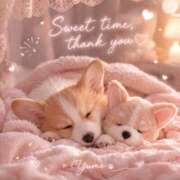 ヒメ日記 2026/04/07 16:00 投稿 桜井ゆめ 五十路マダム　和歌山店