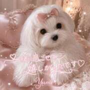 ヒメ日記 2026/04/09 16:28 投稿 桜井ゆめ 五十路マダム　和歌山店