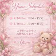 ヒメ日記 2026/04/11 20:46 投稿 桜井ゆめ 五十路マダム　和歌山店