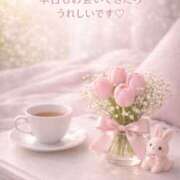 ヒメ日記 2026/04/14 08:02 投稿 桜井ゆめ 五十路マダム　和歌山店