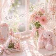 ヒメ日記 2026/04/16 07:58 投稿 桜井ゆめ 五十路マダム　和歌山店