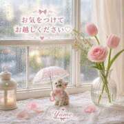 桜井ゆめ 本日10:00よりお待ちしております 五十路マダム　和歌山店