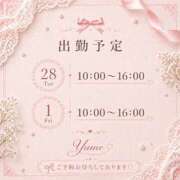 ヒメ日記 2026/04/26 12:08 投稿 桜井ゆめ 五十路マダム　和歌山店