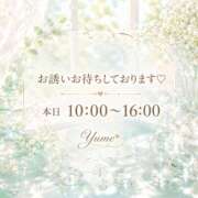 ヒメ日記 2026/06/01 08:36 投稿 桜井ゆめ 五十路マダム　和歌山店