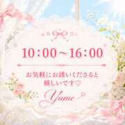 ヒメ日記 2026/06/04 08:42 投稿 桜井ゆめ 五十路マダム　和歌山店