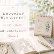 ヒメ日記 2026/06/18 08:46 投稿 桜井ゆめ 五十路マダム　和歌山店