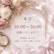 ヒメ日記 2026/06/23 09:04 投稿 桜井ゆめ 五十路マダム　和歌山店
