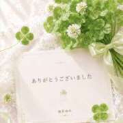ヒメ日記 2026/06/23 22:22 投稿 桜井ゆめ 五十路マダム　和歌山店