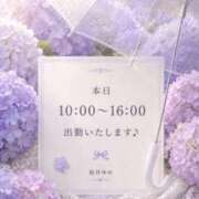 ヒメ日記 2026/06/25 09:56 投稿 桜井ゆめ 五十路マダム　和歌山店