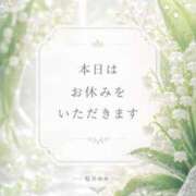 ヒメ日記 2026/06/26 08:40 投稿 桜井ゆめ 五十路マダム　和歌山店