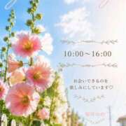 ヒメ日記 2026/07/14 08:36 投稿 桜井ゆめ 五十路マダム　和歌山店