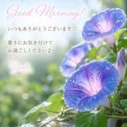 ヒメ日記 2026/07/18 07:54 投稿 桜井ゆめ 五十路マダム　和歌山店
