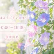 ヒメ日記 2026/08/04 07:38 投稿 桜井ゆめ 五十路マダム　和歌山店