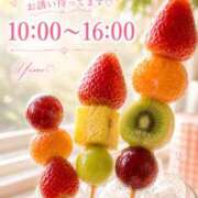 ヒメ日記 2026/08/06 08:42 投稿 桜井ゆめ 五十路マダム　和歌山店