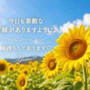 ヒメ日記 2026/08/07 07:30 投稿 桜井ゆめ 五十路マダム　和歌山店