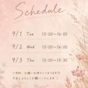 ヒメ日記 2026/08/30 12:34 投稿 桜井ゆめ 五十路マダム　和歌山店