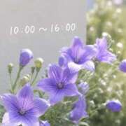 ヒメ日記 2026/09/01 08:50 投稿 桜井ゆめ 五十路マダム　和歌山店