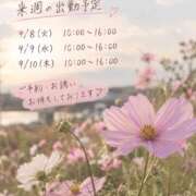 ヒメ日記 2026/09/05 13:14 投稿 桜井ゆめ 五十路マダム　和歌山店