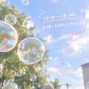ヒメ日記 2026/09/08 08:00 投稿 桜井ゆめ 五十路マダム　和歌山店