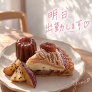 ヒメ日記 2026/09/14 13:02 投稿 桜井ゆめ 五十路マダム　和歌山店