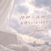 ヒメ日記 2026/09/16 08:02 投稿 桜井ゆめ 五十路マダム　和歌山店