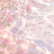 ヒメ日記 2026/09/22 22:08 投稿 桜井ゆめ 五十路マダム　和歌山店