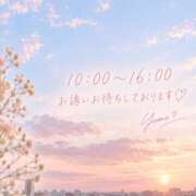 ヒメ日記 2026/09/23 08:36 投稿 桜井ゆめ 五十路マダム　和歌山店