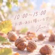 ヒメ日記 2026/09/24 08:02 投稿 桜井ゆめ 五十路マダム　和歌山店