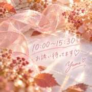 ヒメ日記 2026/09/30 08:46 投稿 桜井ゆめ 五十路マダム　和歌山店