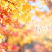 ヒメ日記 2026/10/06 22:42 投稿 桜井ゆめ 五十路マダム　和歌山店