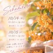 ヒメ日記 2026/10/10 12:44 投稿 桜井ゆめ 五十路マダム　和歌山店