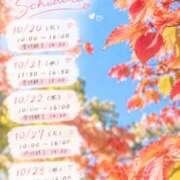 ヒメ日記 2026/10/17 14:38 投稿 桜井ゆめ 五十路マダム　和歌山店