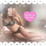 ヒメ日記 2026/03/08 12:16 投稿 戸田 なみ Canx2神戸店