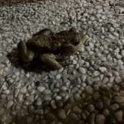 ヒメ日記 2026/02/23 21:39 投稿 るか 東京人妻セレブリティ（ユメオト）