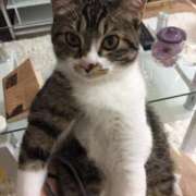 ヒメ日記 2026/03/04 09:51 投稿 るか 東京人妻セレブリティ（ユメオト）