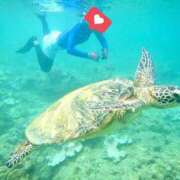 ヒメ日記 2026/03/14 08:32 投稿 るか 東京人妻セレブリティ（ユメオト）